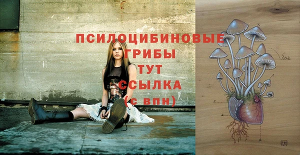 шишки Вязьма