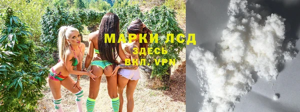 шишки Вязьма