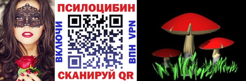 Псилоцибиновые грибы прущие грибы  Купить закладки  Солнечногорск 